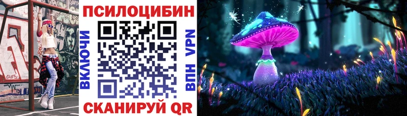 мега ссылки  Обнинск  Псилоцибиновые грибы Psilocybine cubensis 